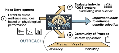 SORMI diagram