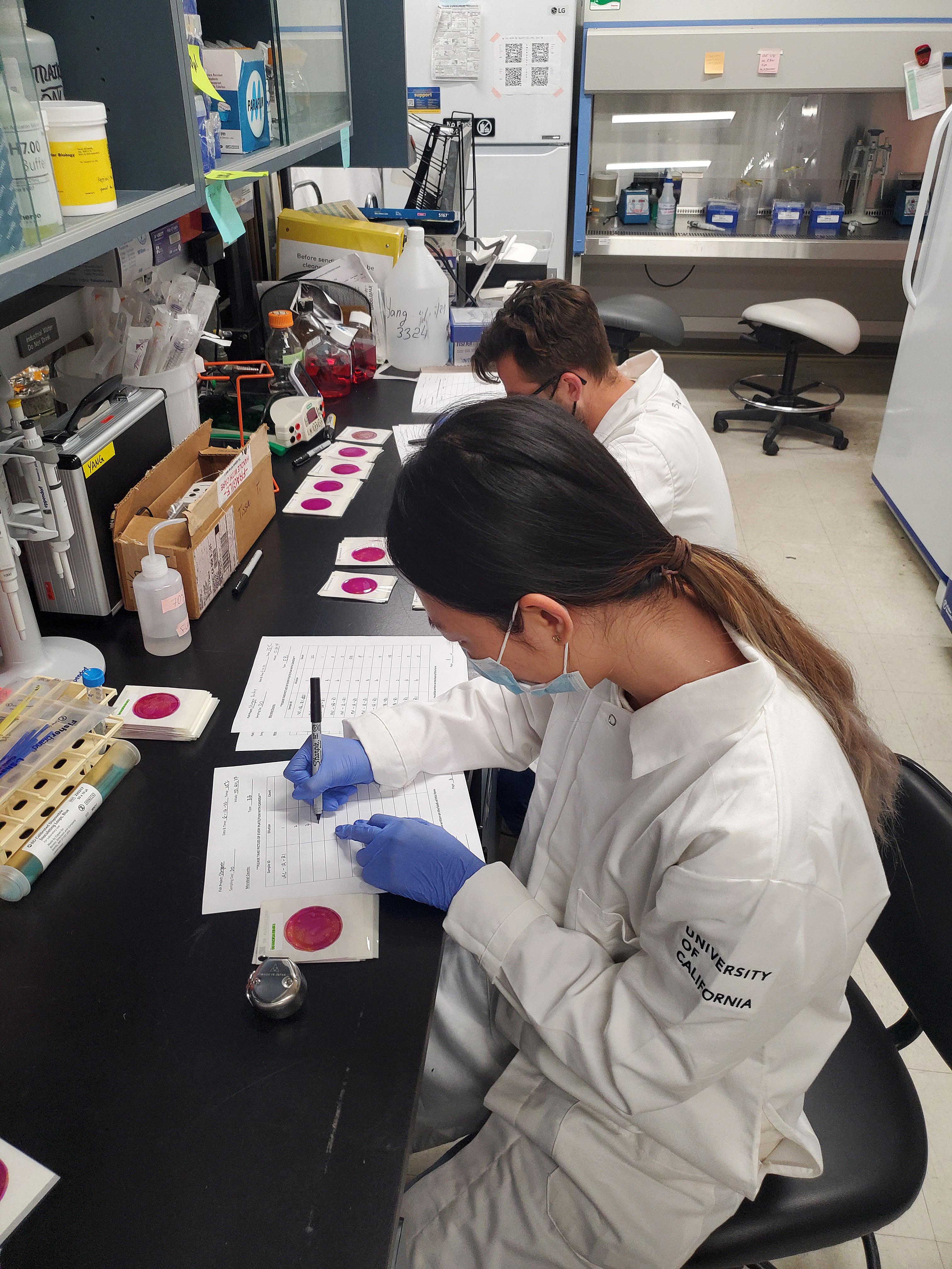 Microbial tests performed in the lab - Yang project