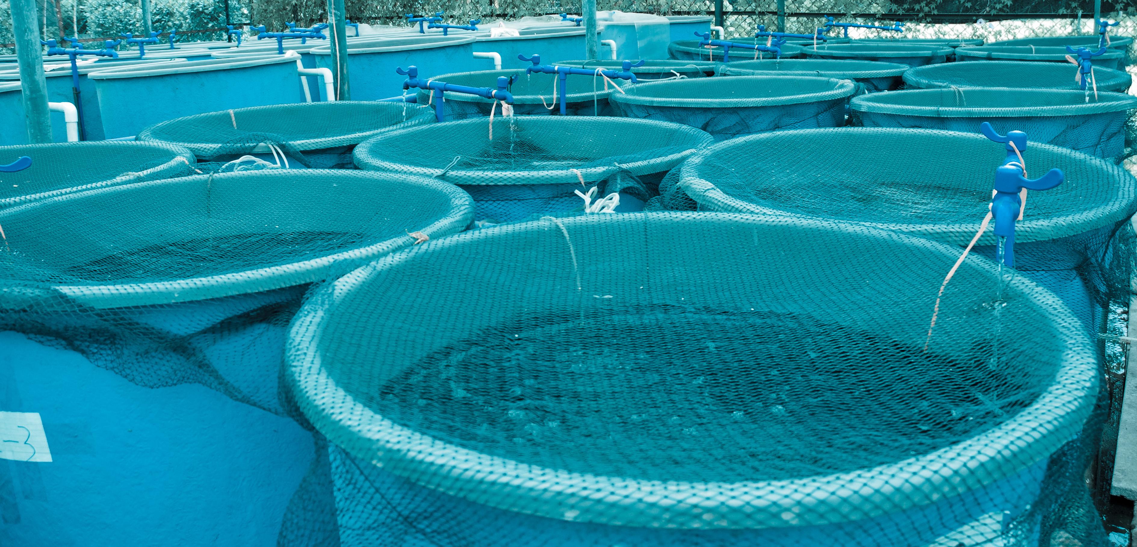 Aquaculture facility