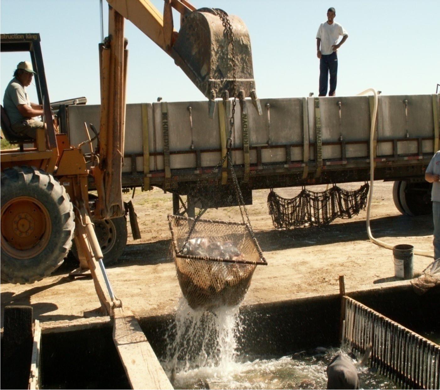 live haul operation; Photo: Courtesy of John Colt