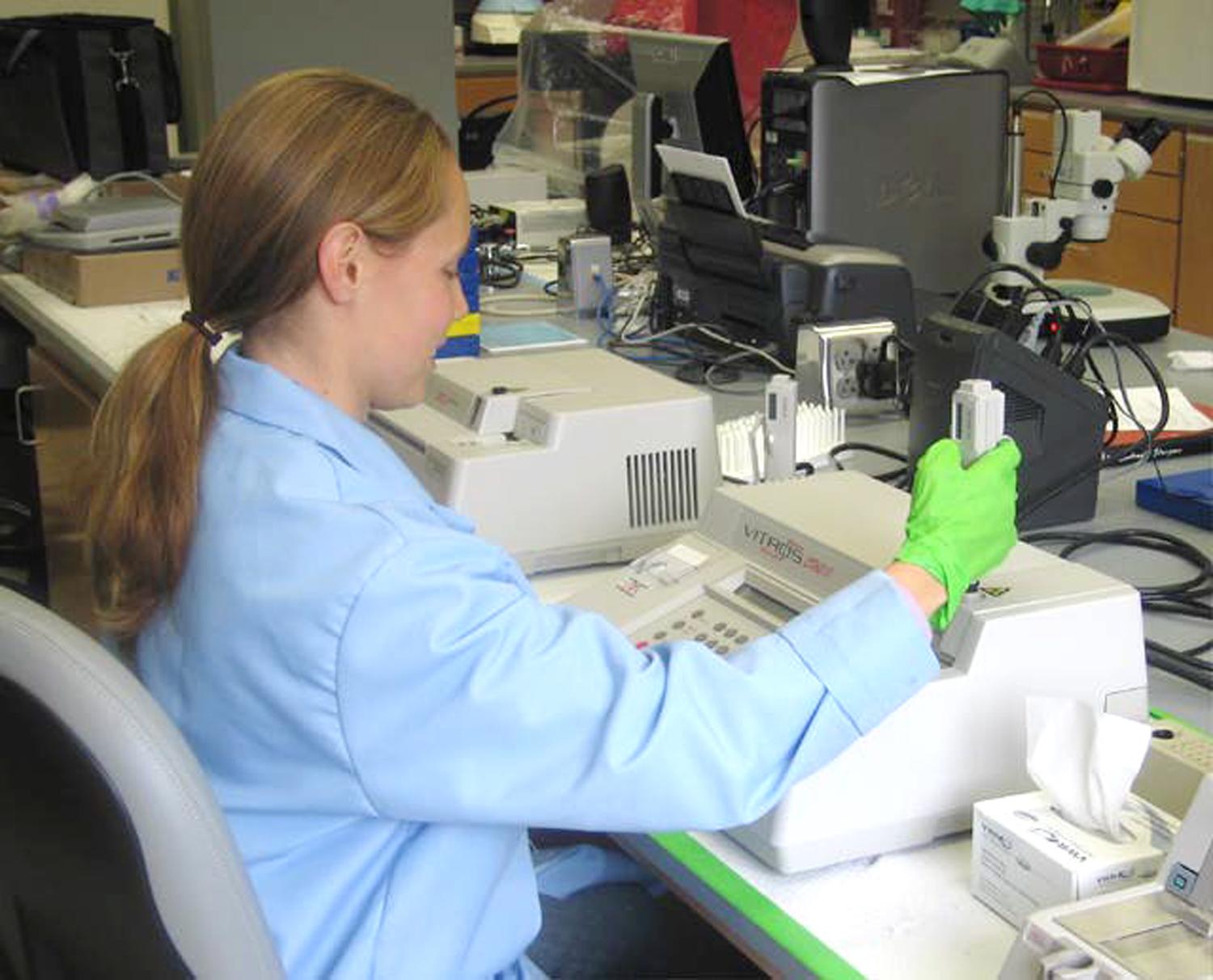 Analyzing blood chemistry parameters in white sturgeon plasma to assess the use of specific analytes as indicators of stage of maturity; Photo: Molly Webb
