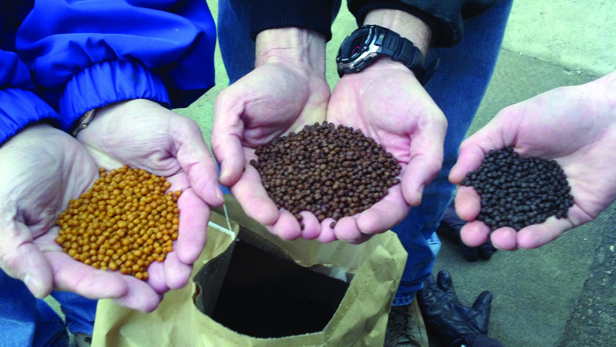 Sealey - Alternative protein diets for rainbow trout - 2012